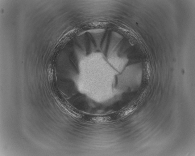 X0000076100558200610152346