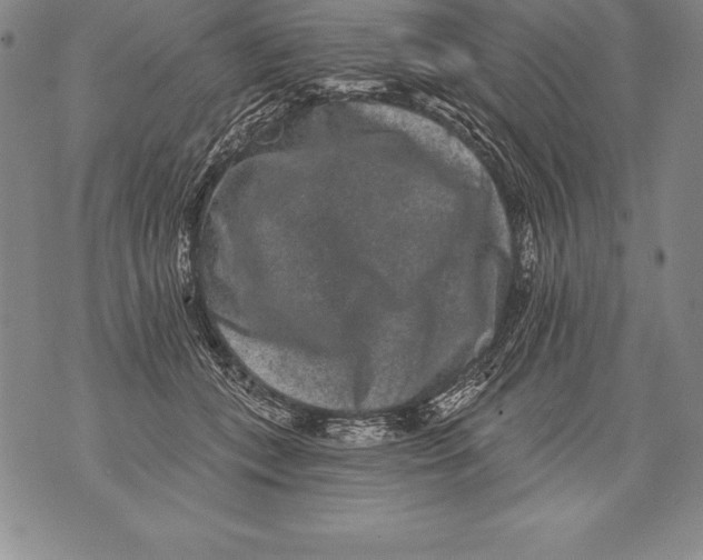 X0000076100559200610152346