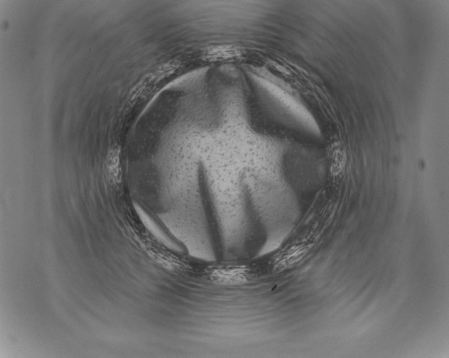 X0000076100560200610152346