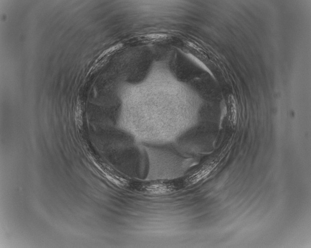 X0000076100562200610152346