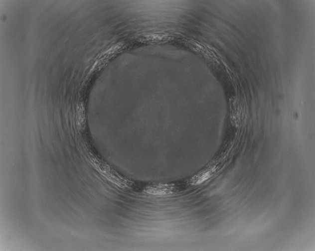 X0000076100563200610152346