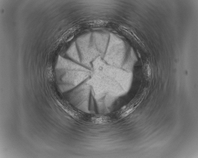 X0000076100564200610152346