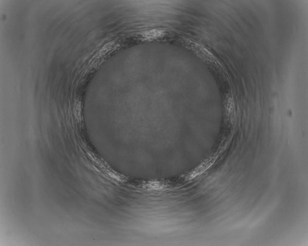 X0000076100565200610152346