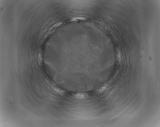 X0000076100566200610152346