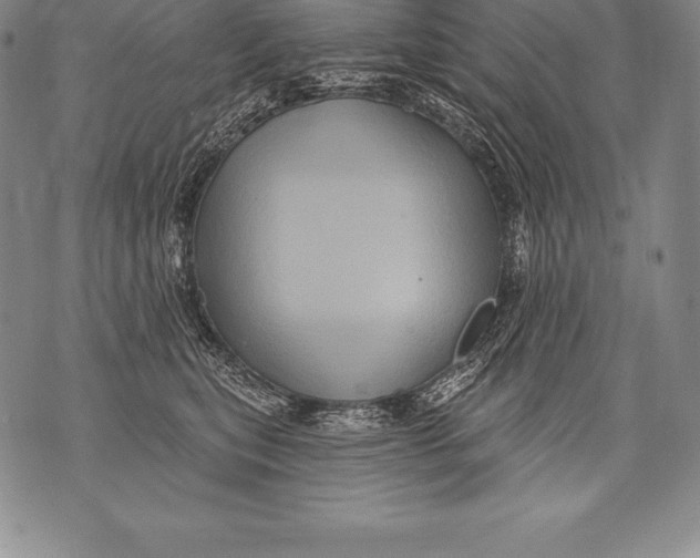 X0000076100567200610152346