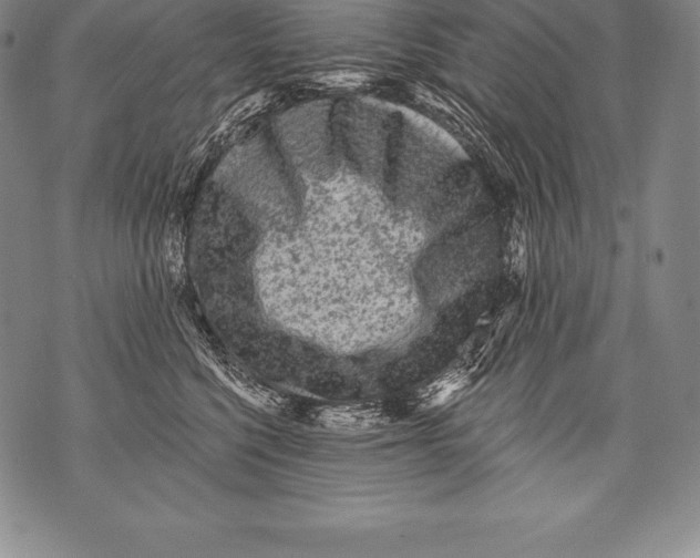 X0000076100568200610152346