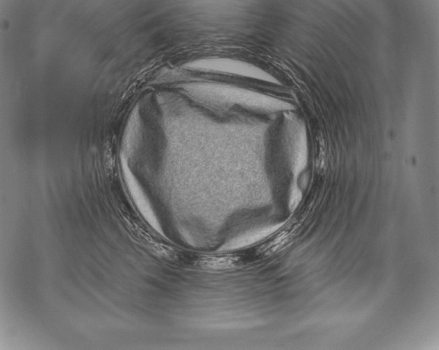 X0000076100569200610152346