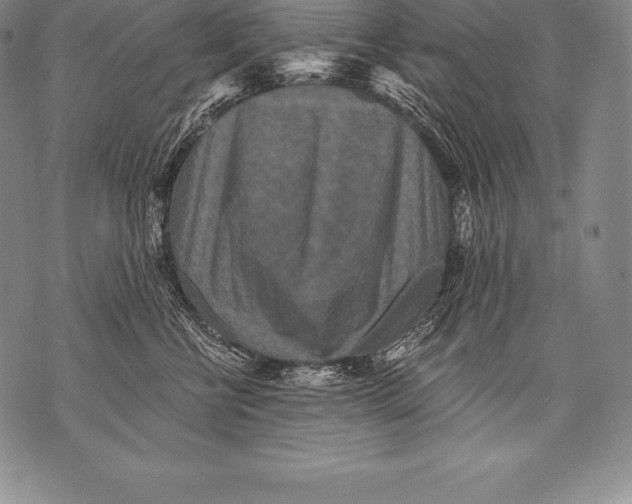 X0000076100570200610152346