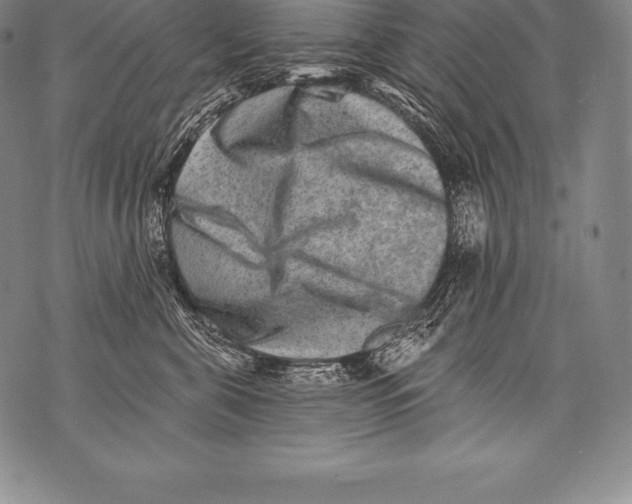 X0000076100571200610152346