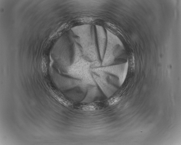 X0000076100572200610152346