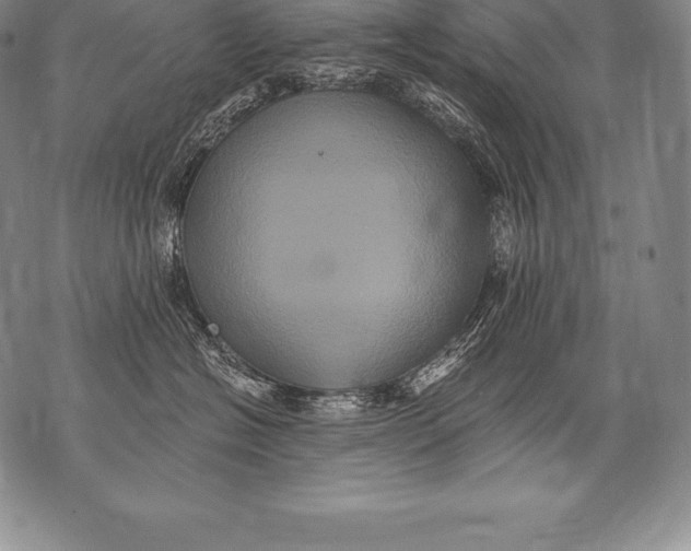 X0000076100574200610152346