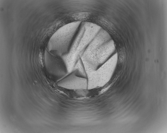 X0000076100575200610152346