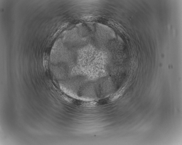 X0000076100576200610152346