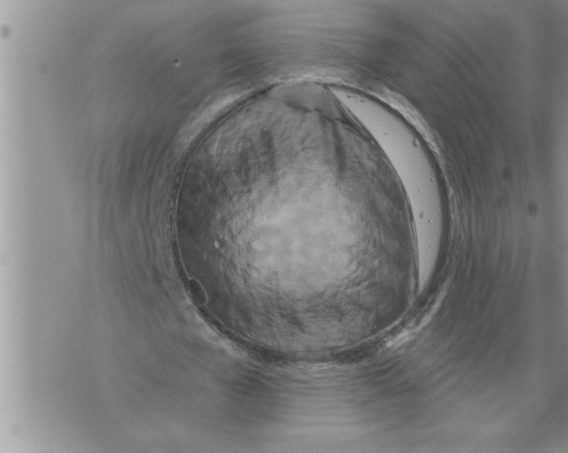 X0000076100577200610152345