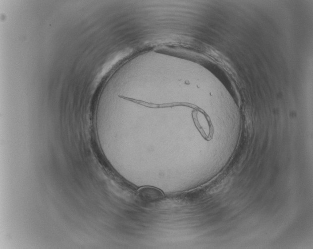 X0000076100578200610152345