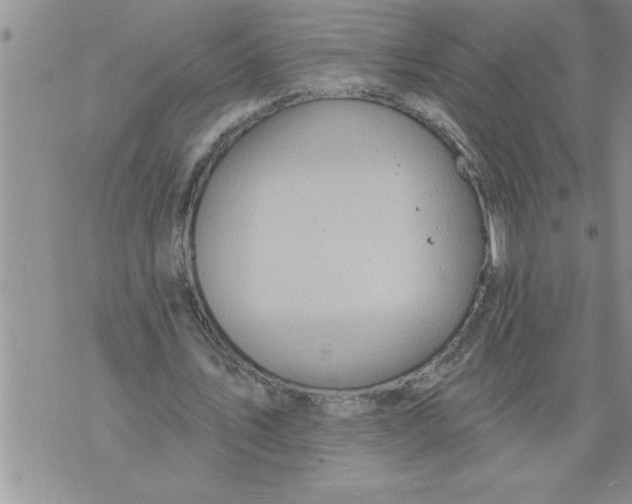 X0000076100579200610152345