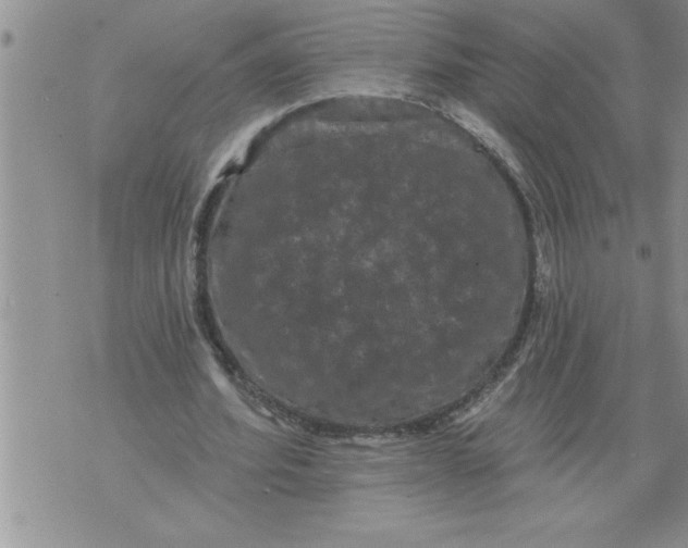 X0000076100580200610152345