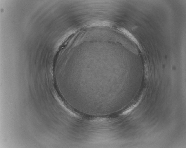 X0000076100581200610152345