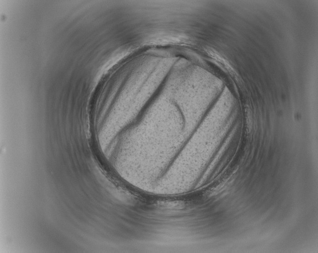 X0000076100582200610152345