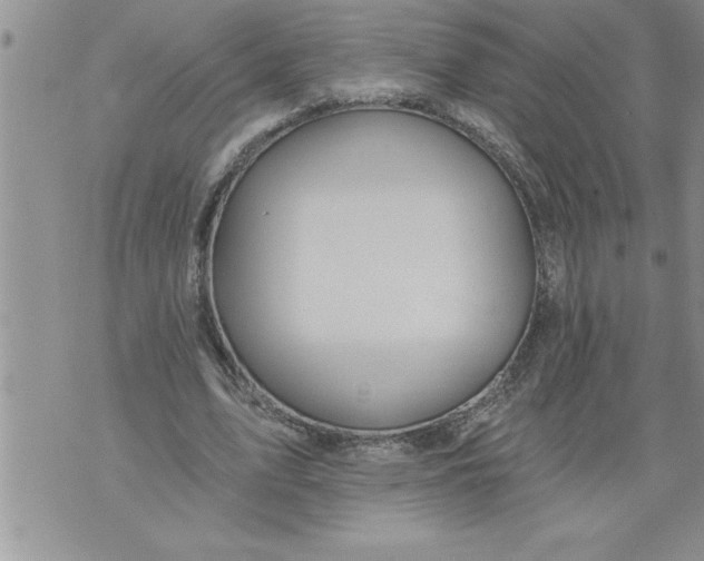 X0000076100583200610152345