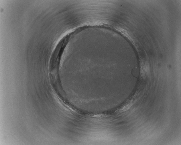 X0000076100584200610152345