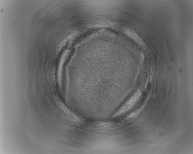 X0000076100585200610152345