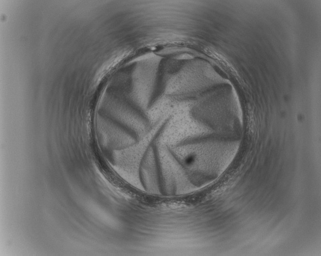 X0000076100586200610152345