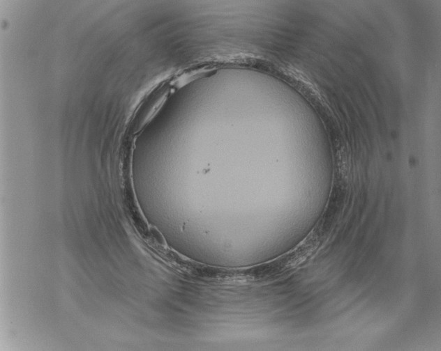 X0000076100587200610152345