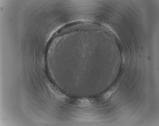 X0000076100588200610152345