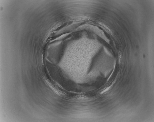 X0000076100589200610152345