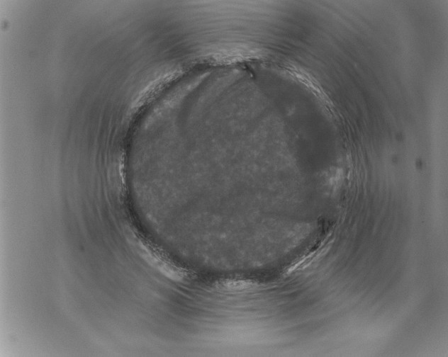 X0000076100590200610152345