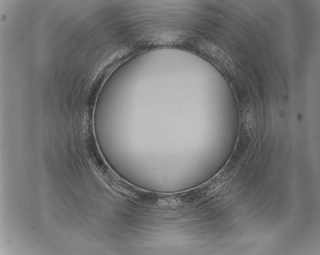 X0000076100591200610152345