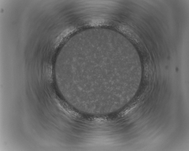 X0000076100592200610152345