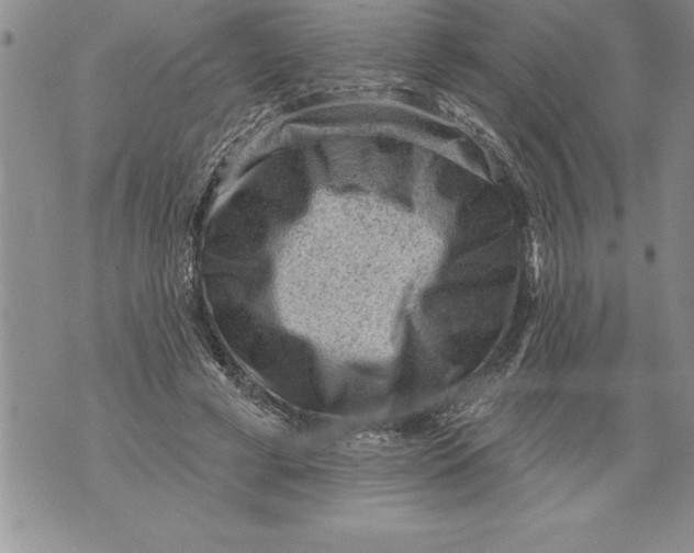 X0000076100593200610152345