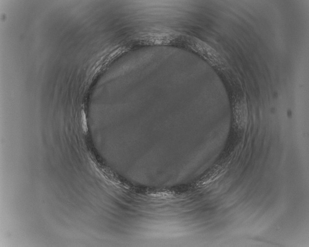 X0000076100594200610152345