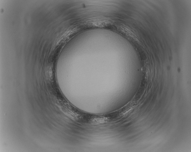 X0000076100595200610152345