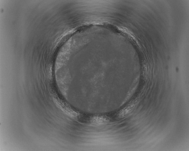 X0000076100596200610152345