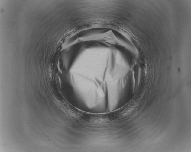 X0000076100597200610152345