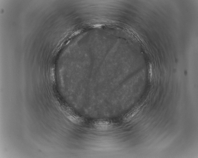 X0000076100598200610152345