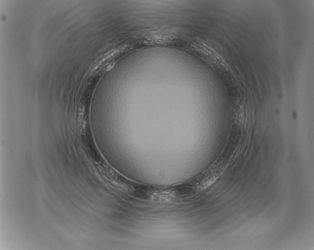 X0000076100599200610152345