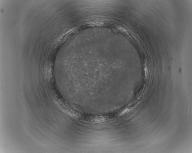 X0000076100600200610152345