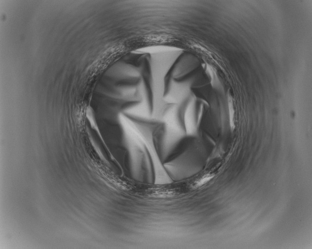 X0000076100601200610152345