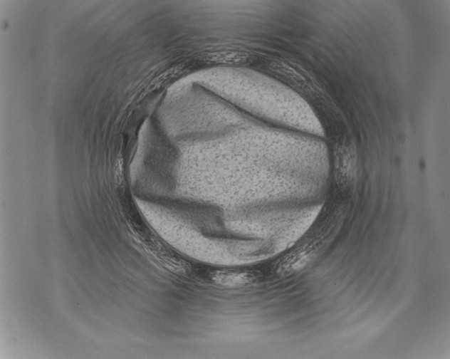 X0000076100602200610152345