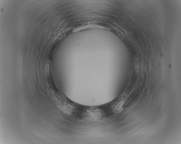 X0000076100603200610152345