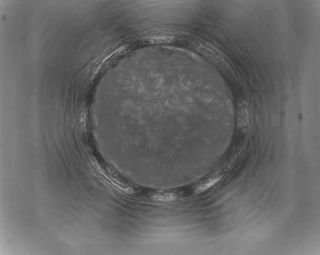 X0000076100604200610152345