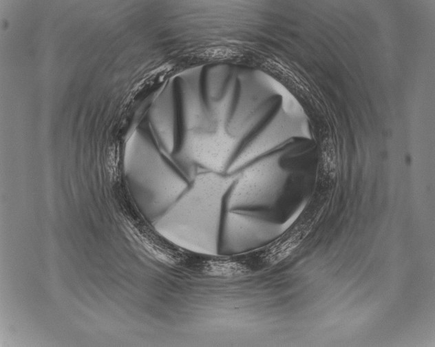 X0000076100605200610152345