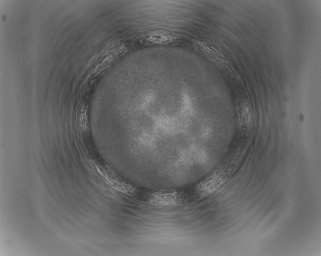 X0000076100606200610152345