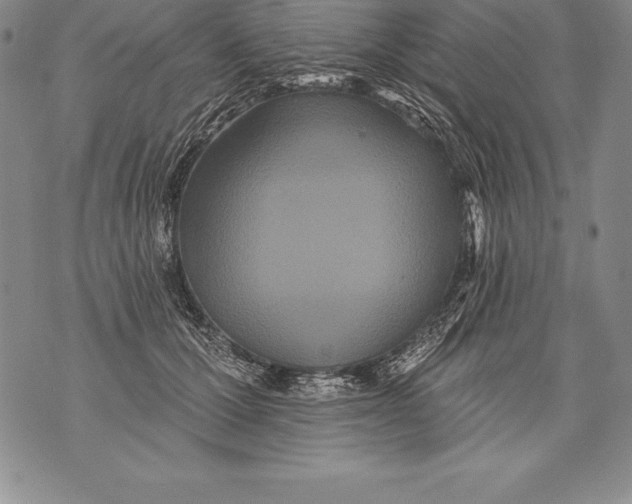 X0000076100607200610152345