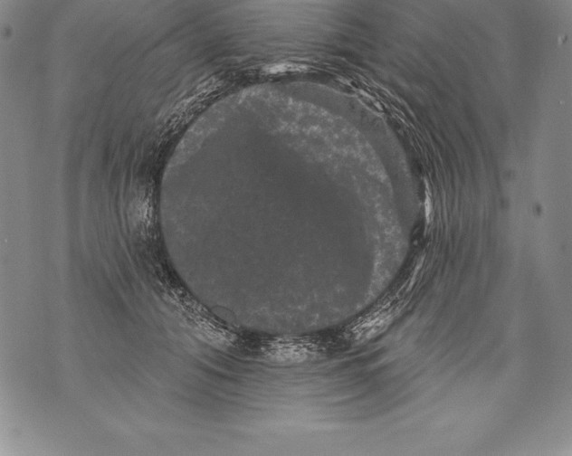 X0000076100608200610152345