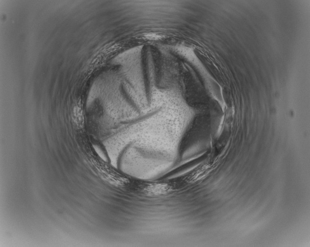 X0000076100609200610152345